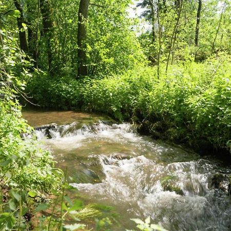 Charming Holiday Home In Malmedy With Sauna ภายนอก รูปภาพ