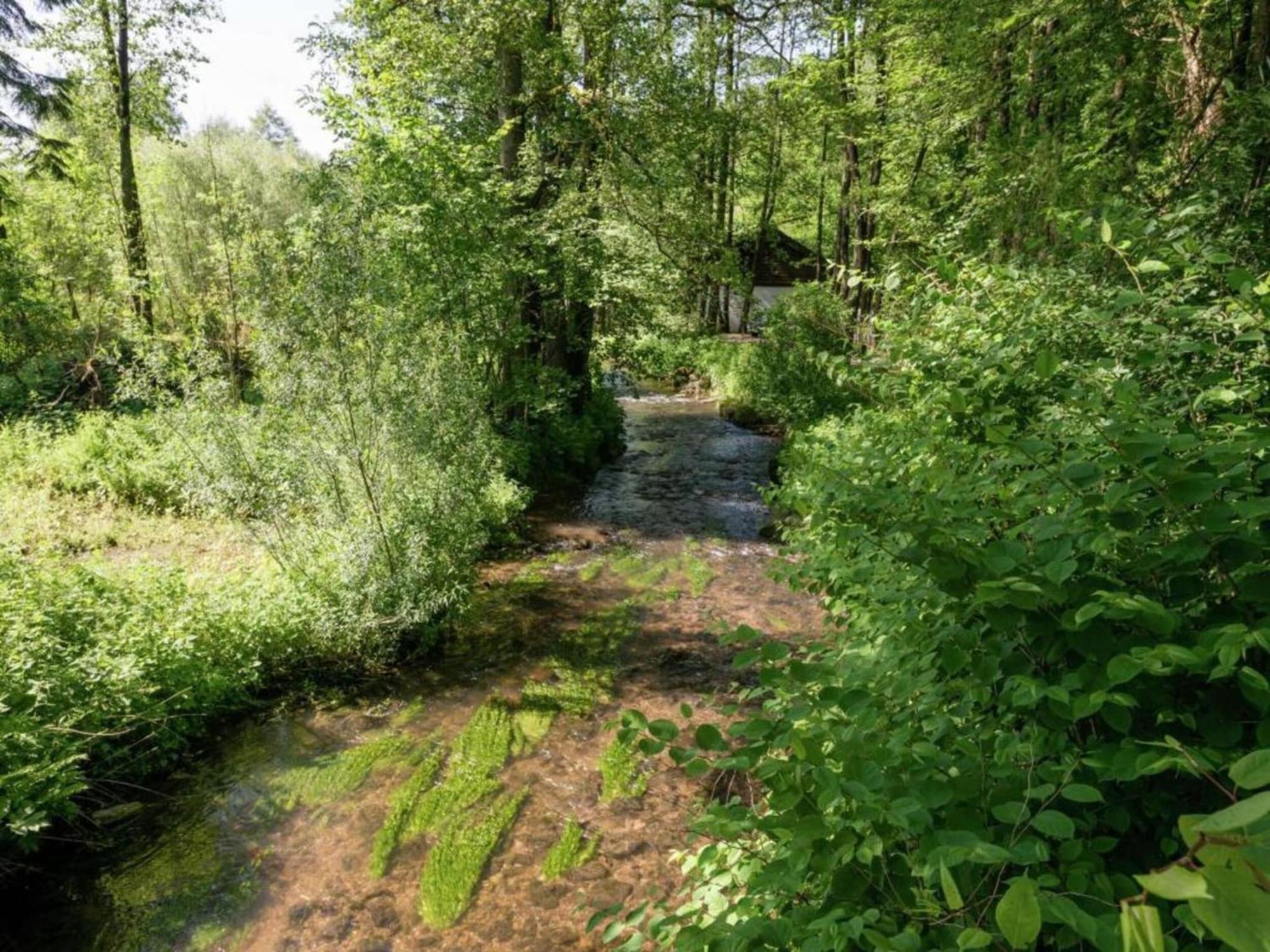 Charming Holiday Home In Malmedy With Sauna ภายนอก รูปภาพ